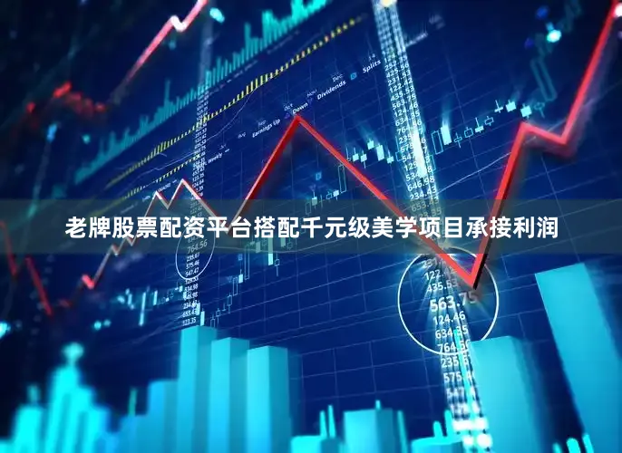 老牌股票配资平台搭配千元级美学项目承接利润