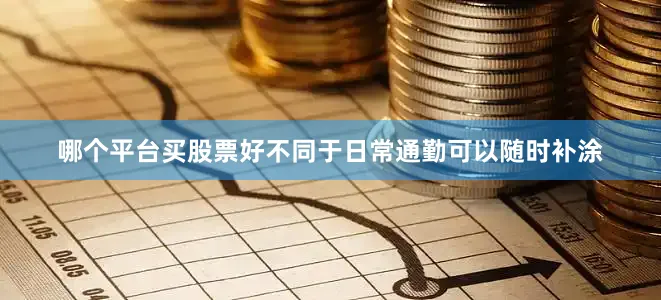 哪个平台买股票好不同于日常通勤可以随时补涂